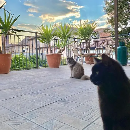 Holiday home La Terrazza Sapri
