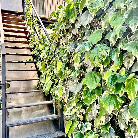 La Terrazza Дом отдыха *